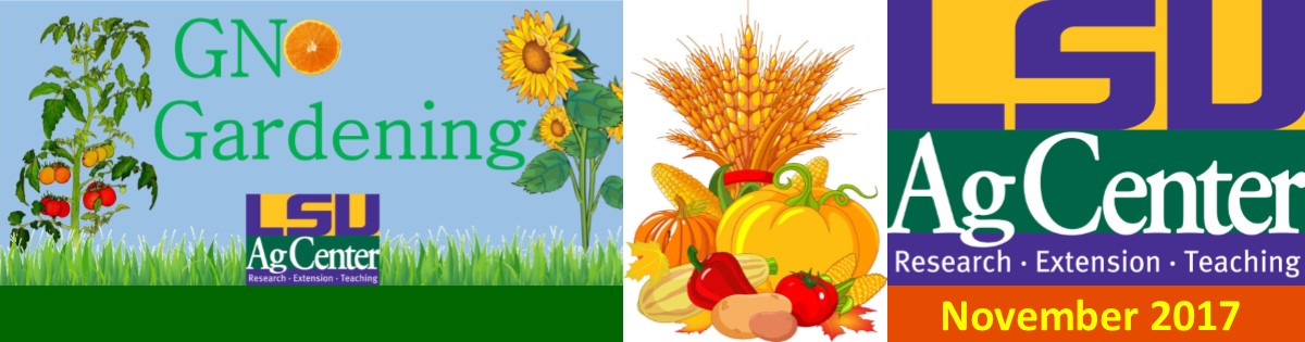 GNO Gardening November 2017 Newsletter